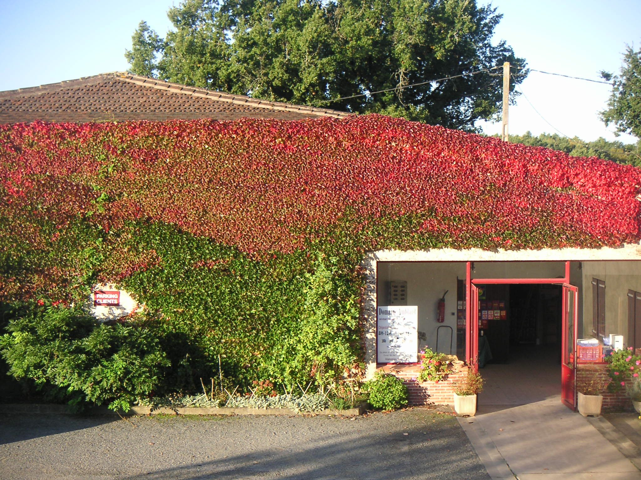 KONICA MINOLTA DIGITAL CAMERA